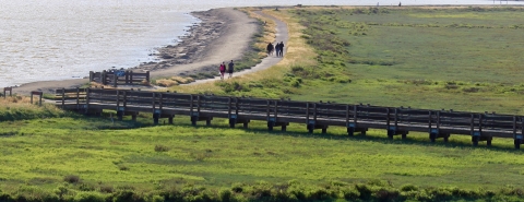 A boardwalk cutting across a green marshy coastal meadow leading to a trail on which five people are walking