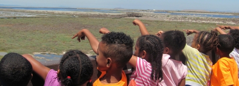 Eight children lined up next one another and pointing along a rail overlooking a marsh