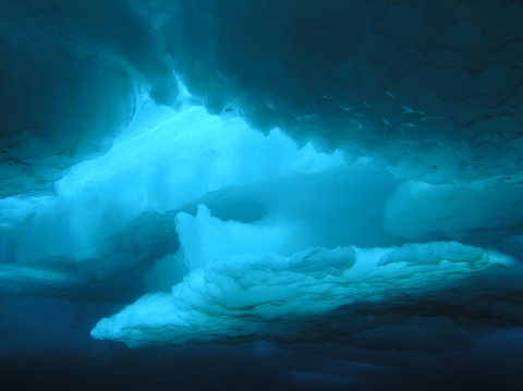 Sea ice in the Arctic Ocean, seen from below, shines blue.