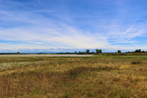 A grassland area with wetlands in the background. Wispy clouds hang in the sky.