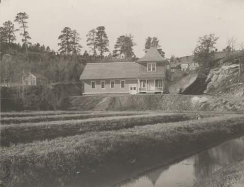 An 1899 photo shows earthen raceways in front of the hatchery building.
