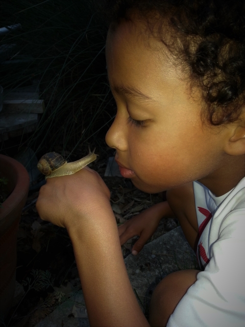A child peers closely at a snail he holds on the back of his hand.
