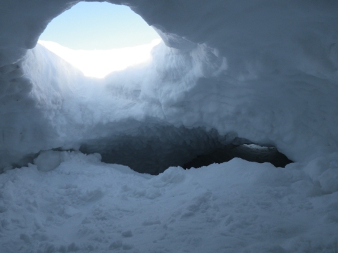 view from inside a vacant polar bear den dug into the snow, looking out toward blue sky through the entrance of the den.