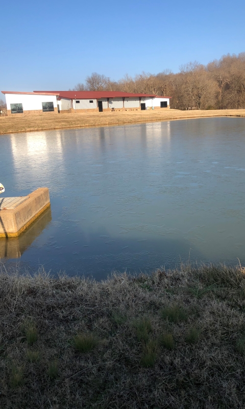 Mammoth Spring NFH pond