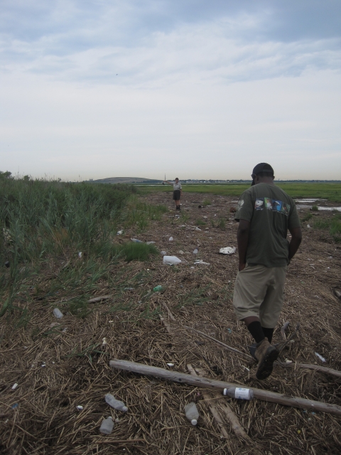 Staff walk through the marsh assessing damage from a recent storm