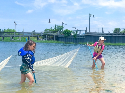 Two female students pull in seine net from the bay