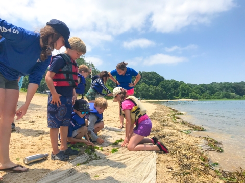 Group of students examine the contents of a seine net onshore
