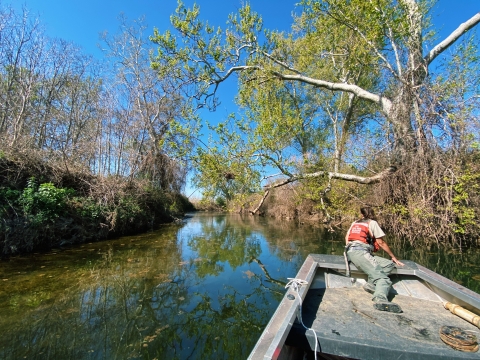 A woman on the front of a small boat looks along the shoreline of a small creek.