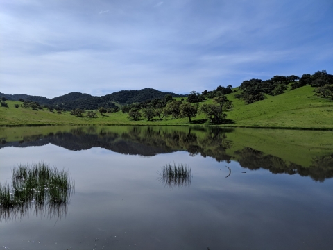 Pond and rolling hills of Santa Barbara County