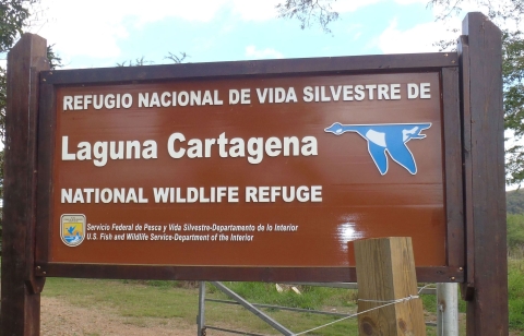A large brown entrance sign with the words "Refugio Nacional de Vida Silvestre de Laguna Cartagena National Wildlife Refuge" and a blue goose image on it