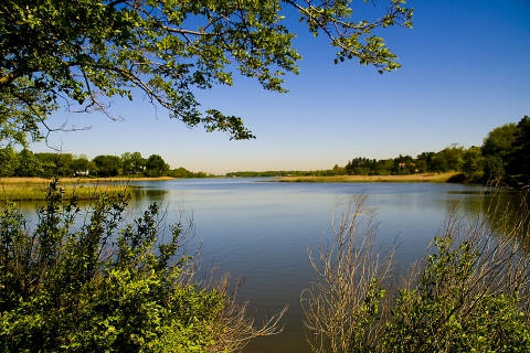 Panoramic view of Mill Neck Bay