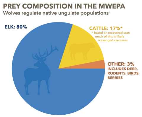 Pie chart of Mexican wolf prey composition within the experimental population area. It shows that 80% of prey is elk, 17% of prey is cattle, with a note that some of that is from scavanged carcasses, and 3% is other, including deer, rodents, birds, and berries. 