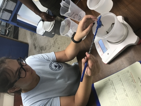 Niva Hoffman, Edenton National Fish Hatchery Volunteer, weighing Lake Sturgeon