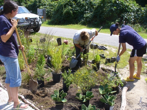 Volunteers install native plant garden