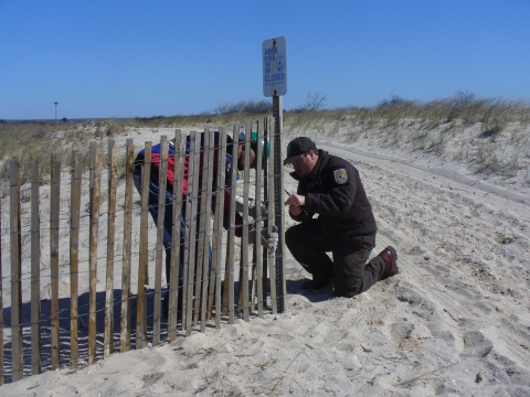 Refuge biologists install beach fencing 