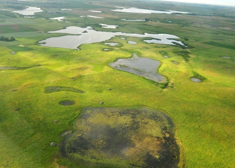 Prairie Pothole Wetlands 