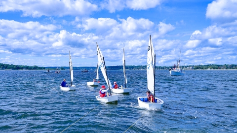 Group of sailboats move across the bay