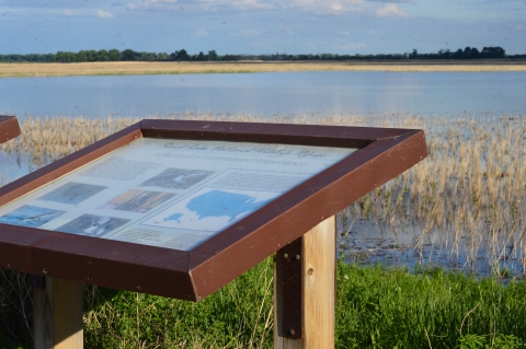 Interpretive Sign at Sand lake 
