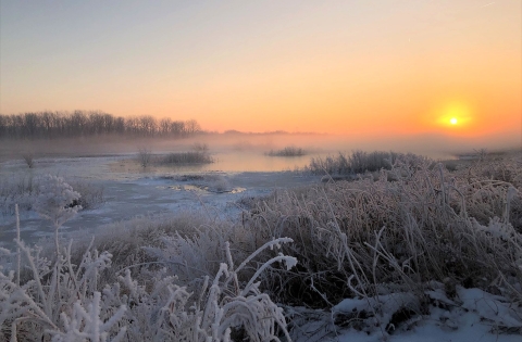 The sun glowing bright yellow-orange as it begins to rise over a snowy grassland shrouded in fog