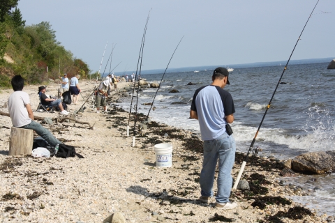 Anglers line the shore hoping to snag a bite from the surf