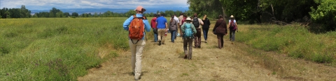 A dozen people walk along a trail with wetlands on one side and trees on the other.