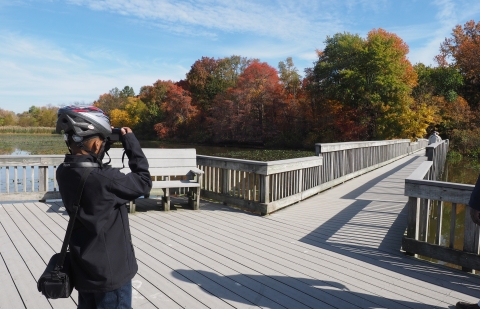 A young man standing on a wetland boardwalk trail in autumn using binoculars to peer into a distant stand of trees