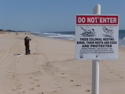 A regulatory sign in the foreground explains that the beach is closed to protect nesting birds