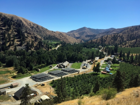 View of Entiat National Fish Hatchery from the hillside above, looking down on the hatchery set in a narrow valley between dry mountains with a well-treed river and an orchard.