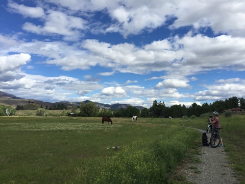 A cyclist stops on a gravel trail to take a photo. Horses graze nearby, and the deep blue sky is dotted with puffy clouds on a fine spring afternoon.