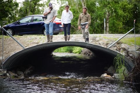 An open-bottom culvert (a structure under a road) allows fish passage at Cottonwood Creek in Wasilla, Alaska.