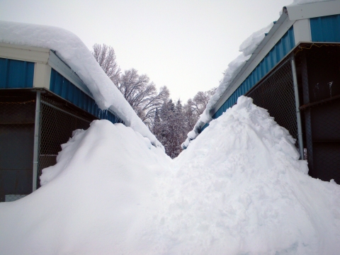A huge pile of snow has accumulated where two rooflines shed snow.