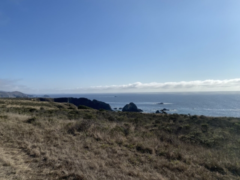 a grassy knoll overlooks a blue ocean and blue sky