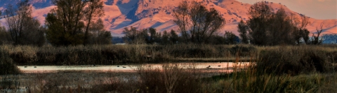 Low mountains glow in sunset light with trees and a wetland in the foreground.