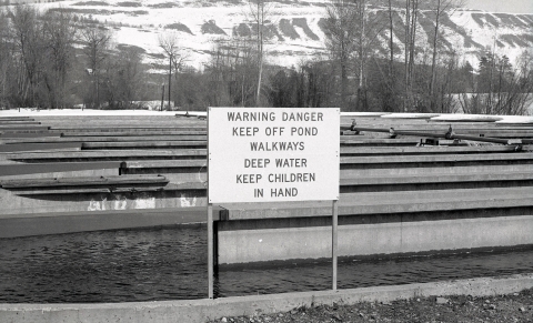 Black and white photo of a sign posted at the edge of a set of large Foster-Lucas fish ponds.
