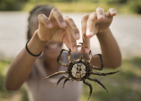 Girl holds up spider crab