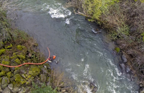 An aerial view of the a man in a river releasing salmon fry