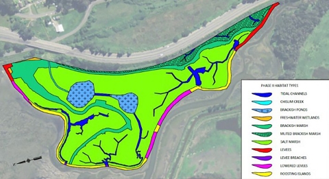 Map of habitat types at a restoration project. Many different color blocks show the different habitat types. 