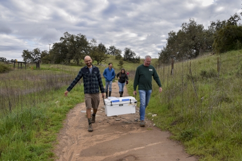 four people walking down a dirt road, two of the people carry an ice chest.