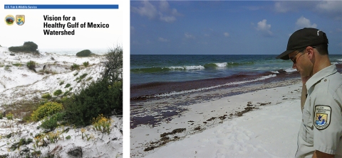 Two Images. Left: the front cover of a booklet titled "Vision for a Healthy Gulf of Mexico Watershed." Right" USFWS staff member gazing at the shoreline on a sunny day.