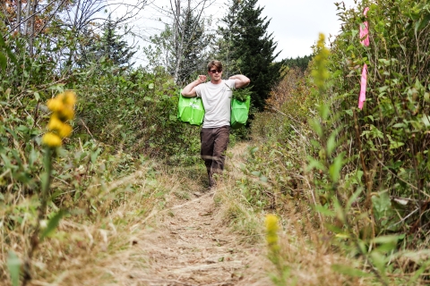 A person walks down a trail carrying a bag full of young trees over each shoulder