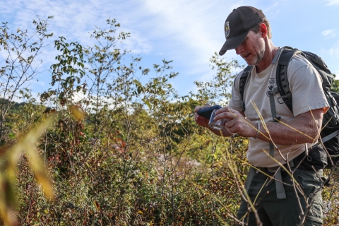 Biologist standing in a field holding a jar with one hand while holding his phone's camera to photograph something inside the jar