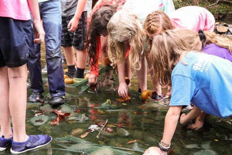 Kids standing around a net in very shallow water, looking down at the net