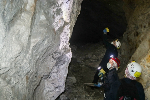 Three biologists walking through a mine passage, shining flashlights at the walls