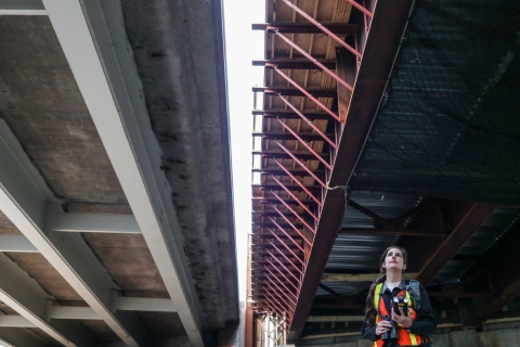 A biologist stands beneath two bridges - one complete and one under construction