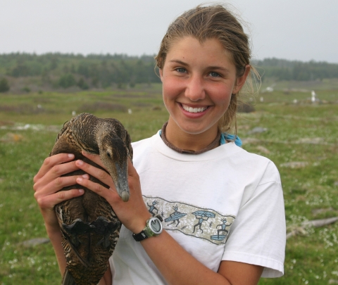 Island Researcher with Common Eider