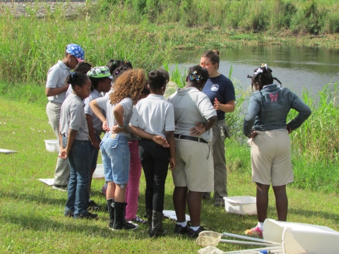 Youth collect water samples to explore macroinvertebrate life 