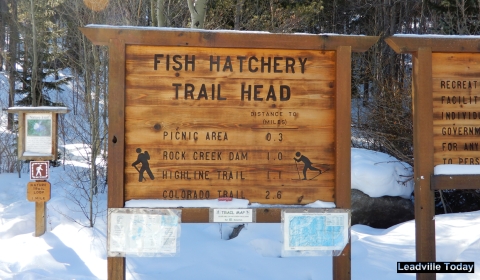 A sign that says Fish Hatchery Trail Head. 
