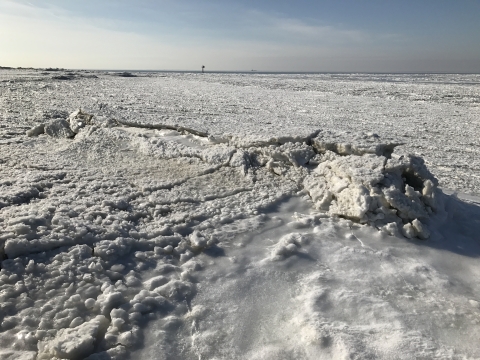 This photo shows Delaware Bay completely covered in a sheet of thick, white ice. Toward the center of the image, the ice is cracking and raising. Underneath is an oyster-reef breakwater.