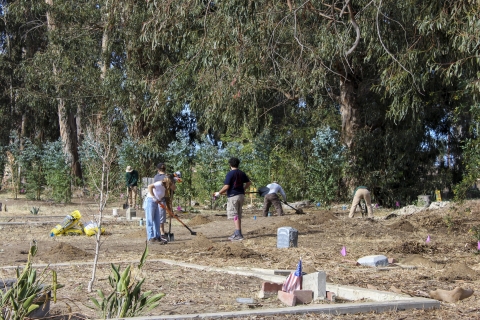A group of volunteers installing native plants in a cemetery