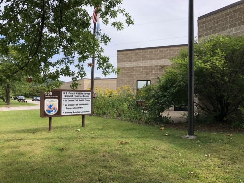 A sign next to a flag pole and brick building, trees, parking lot and flowering plants. The sign reads: "U.S. Fish and Wildlife Service, Whitney Genetics Laboratory, La Crosse Fish Health Center, and La Crosse Fish and Wildlife Conservation Office, 555 Lester Avenue, and a logo with a fish, a mountain, water and a duck."/